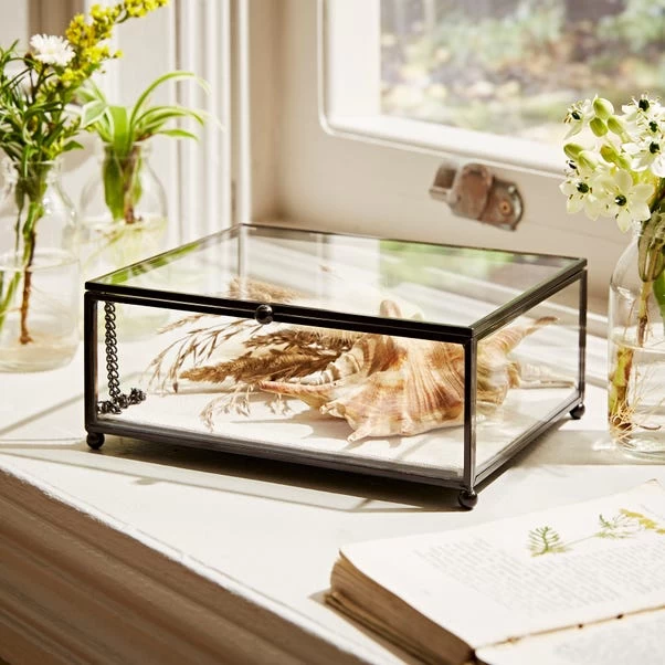 Natural History Museum Small Trinket Box 18cm