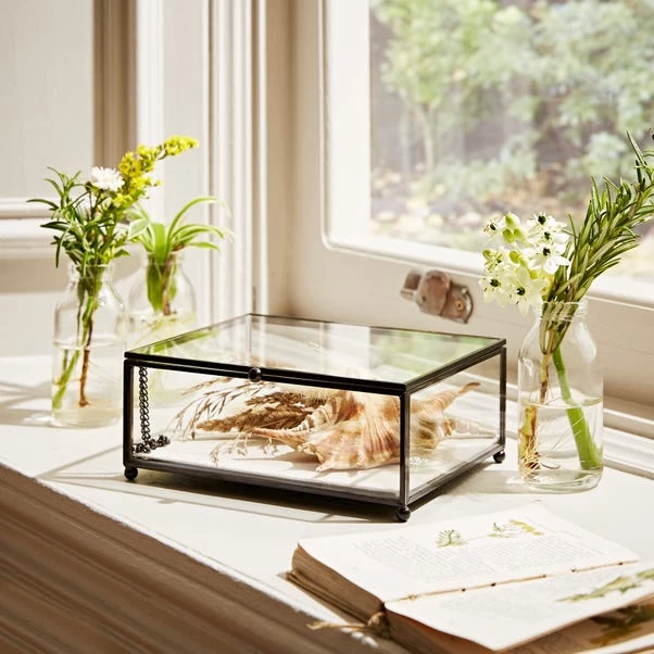 Natural History Museum Small Trinket Box 18cm - Image 2