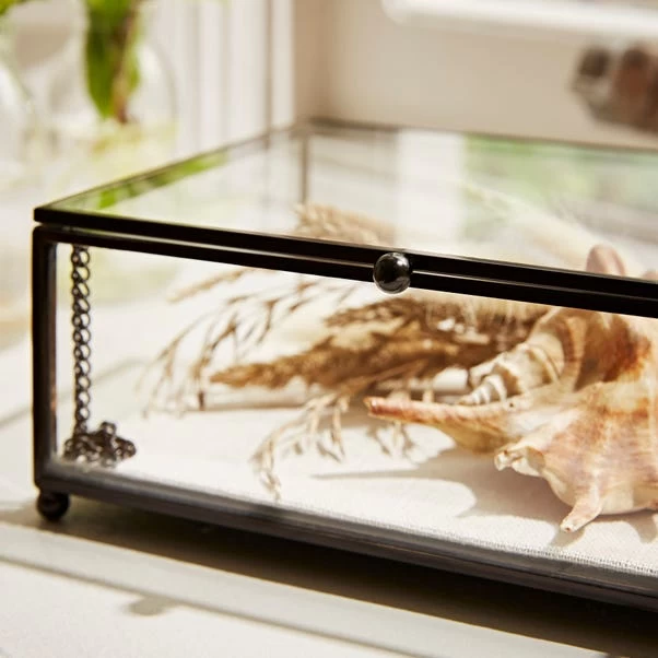 Natural History Museum Small Trinket Box 18cm - Image 4