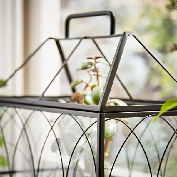 Natural History Museum Terrarium 37cm - Image 4