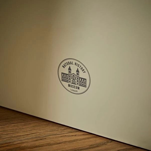 Natural History Museum Window Leaner Mirror, 180x50cm - Image 4