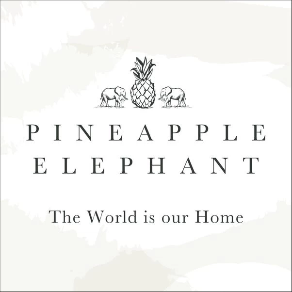 Pineapple Elephant Imani Tufted Cotton Cushion - Image 6