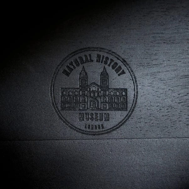 Dunelm Black Mango Wood Cloche - Image 6