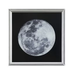 Cedar & Sage Lyra Study Mirrored Art