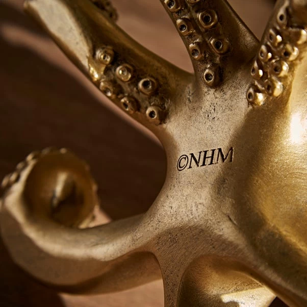 Natural History Museum Octopus Glasses Holder - Image 4